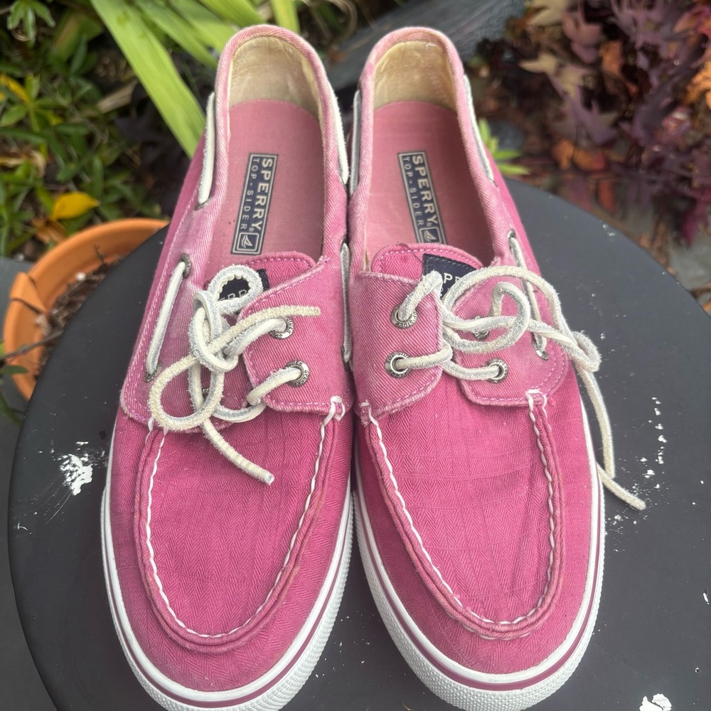 Sperry Women's Fuchsia Canvas Sneakers